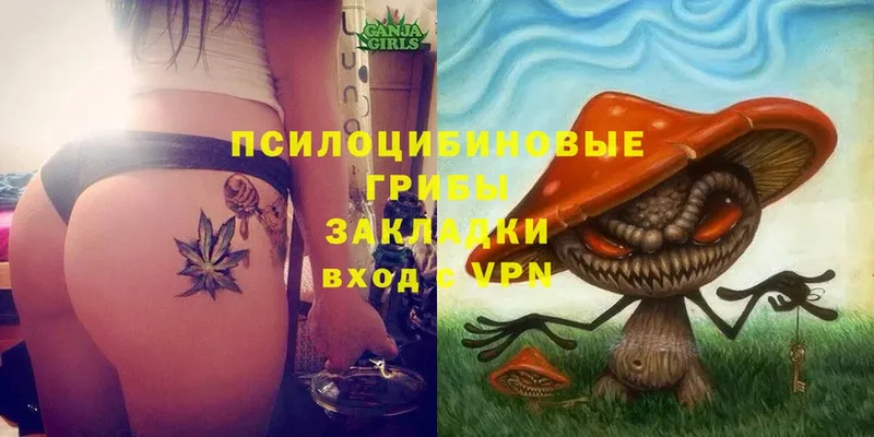 Псилоцибиновые грибы Magic Shrooms  Славск 